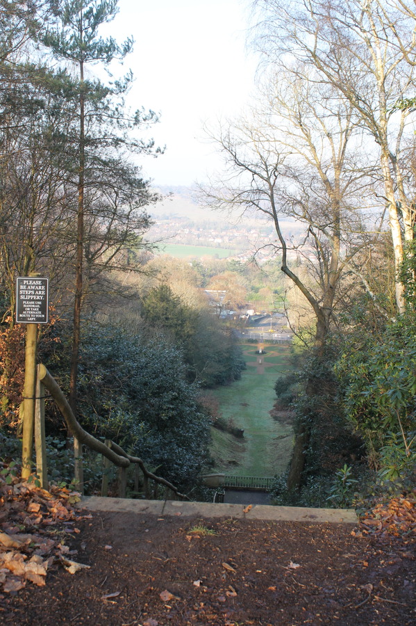 view north down the steps on 20 january